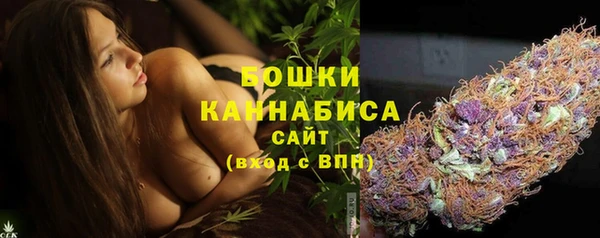 PSILOCYBIN Переславль-Залесский