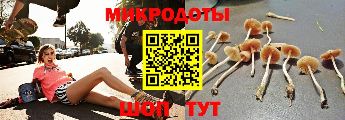 Туймазы  Псилоцибиновые грибы прущие грибы  Псилоцибиновые грибы ЛСД  Вход с VPN 