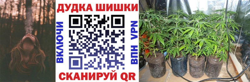 нарко площадка какой сайт  Туймазы  Шишки марихуана SATIVA & INDICA 